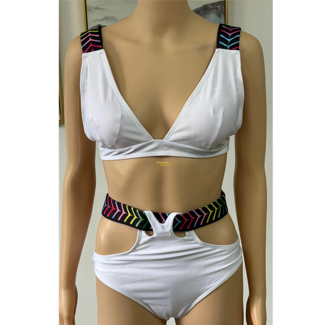Lady's Bikini swimsuit two piece swimsuit beach wear V neck OEM orders accepted