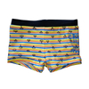 Boys Swimtrunk